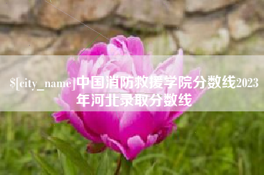 阳江中国消防救援学院分数线2023年河北录取分数线