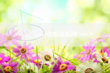 阳江中国消防网1190119
