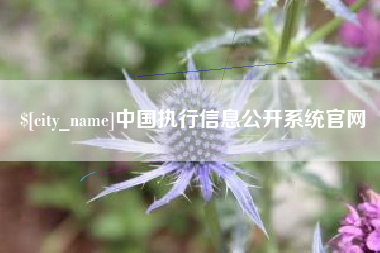 阳江中国执行信息公开系统官网