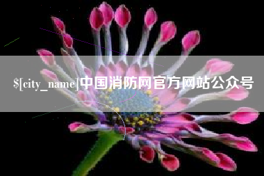阳江中国消防网官方网站公众号