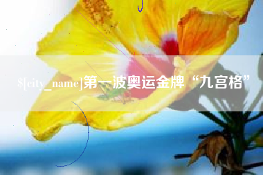 阳江第一波奥运金牌“九宫格”