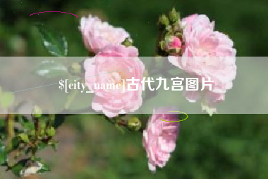 阳江古代九宫图片