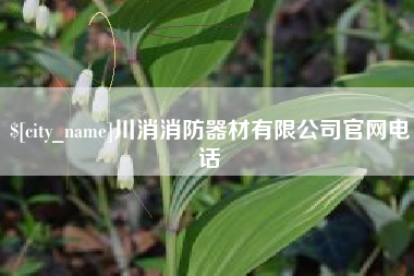 阳江川消消防器材有限公司官网电话