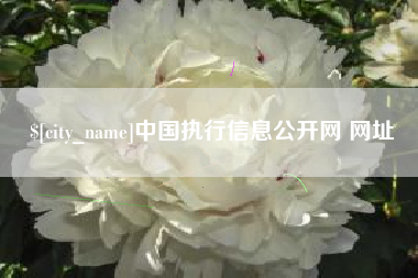 阳江中国执行信息公开网 网址