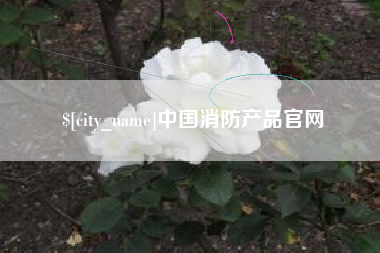 阳江中国消防产品官网