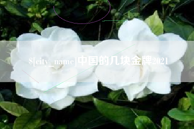 阳江中国的几块金牌2021