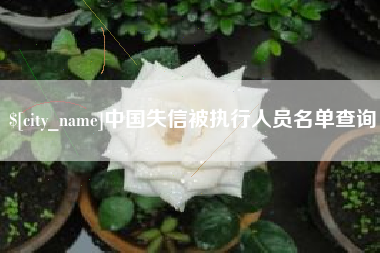 阳江中国失信被执行人员名单查询
