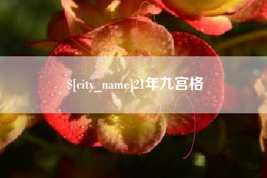 阳江21年九宫格