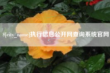 阳江执行信息公开网查询系统官网