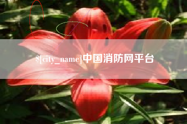 阳江中国消防网平台