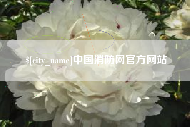 阳江中国消防网官方网站