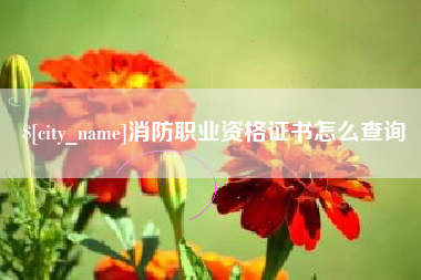 阳江消防职业资格证书怎么查询
