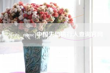 阳江中国失信执行人查询官网
