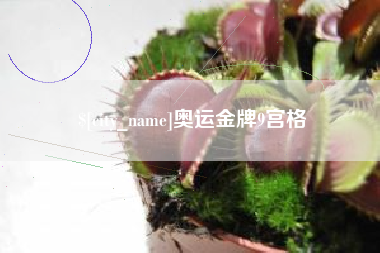 阳江奥运金牌9宫格