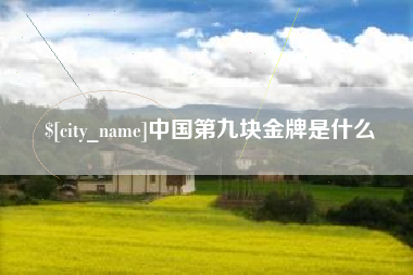 阳江中国第九块金牌是什么