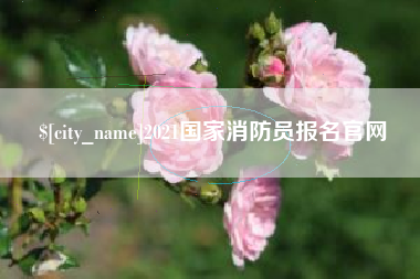 阳江2021国家消防员报名官网