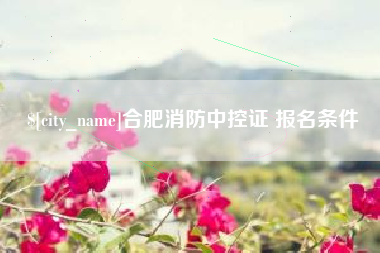 阳江合肥消防中控证 报名条件