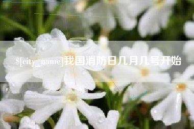 阳江我国消防日几月几号开始