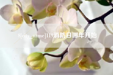 阳江119消防日哪年开始