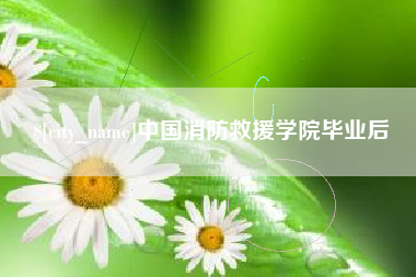 阳江中国消防救援学院毕业后
