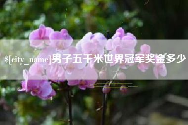 阳江男子五千米世界冠军奖金多少