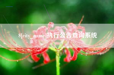阳江执行公告查询系统