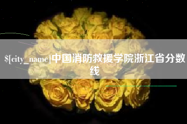 阳江中国消防救援学院浙江省分数线