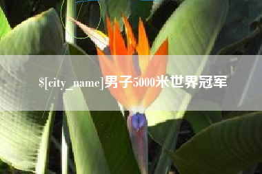 阳江男子5000米世界冠军