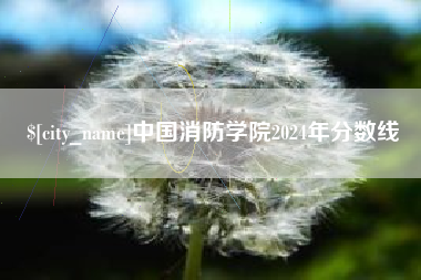阳江中国消防学院2024年分数线