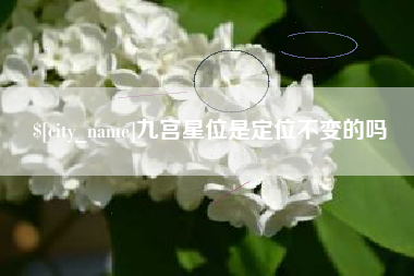 阳江九宫星位是定位不变的吗