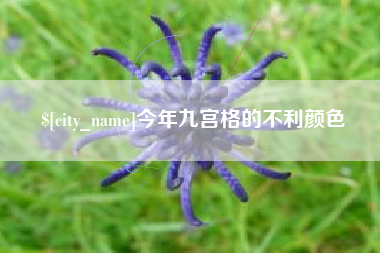 阳江今年九宫格的不利颜色