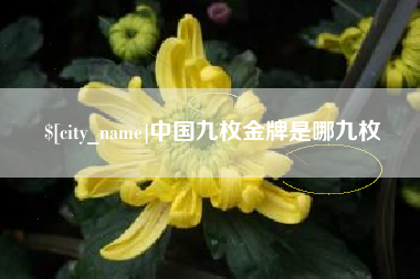 阳江中国九枚金牌是哪九枚
