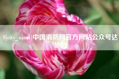 阳江中国消防网官方网站公众号达伦特