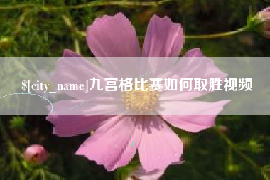 阳江九宫格比赛如何取胜视频