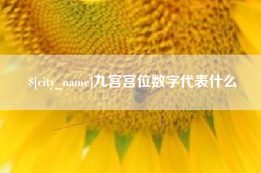 阳江九宫宫位数字代表什么