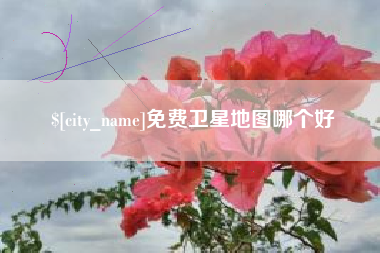 阳江免费卫星地图哪个好