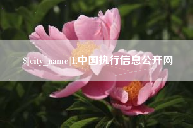 阳江1.中国执行信息公开网