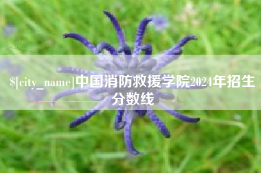 阳江中国消防救援学院2024年招生分数线