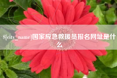 阳江国家应急救援员报名网址是什么