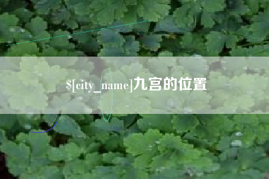 阳江九宫的位置