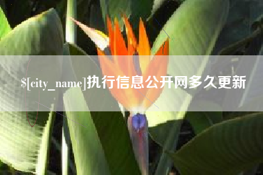 阳江执行信息公开网多久更新