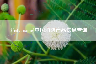 阳江中国消防产品信息查询