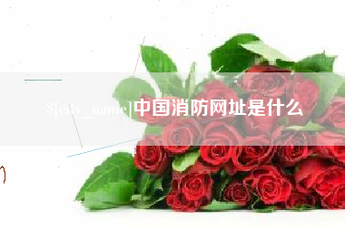 阳江中国消防网址是什么