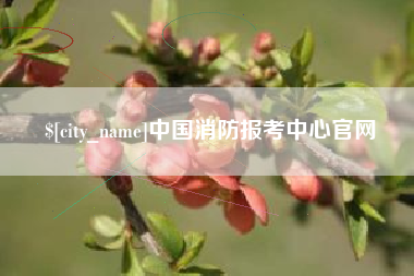 阳江中国消防报考中心官网