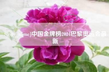 阳江中国金牌榜2024巴黎奥运会最新