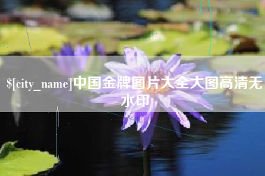 阳江中国金牌图片大全大图高清无水印
