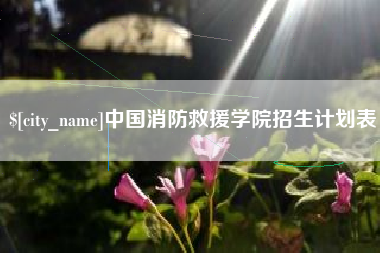 阳江中国消防救援学院招生计划表