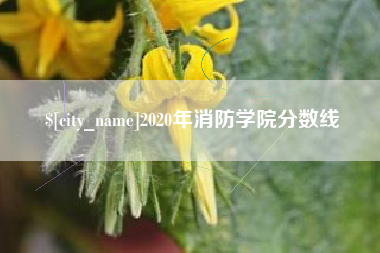 阳江2020年消防学院分数线