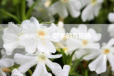 阳江数字的九宫格