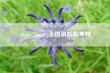 阳江全国消防招考网